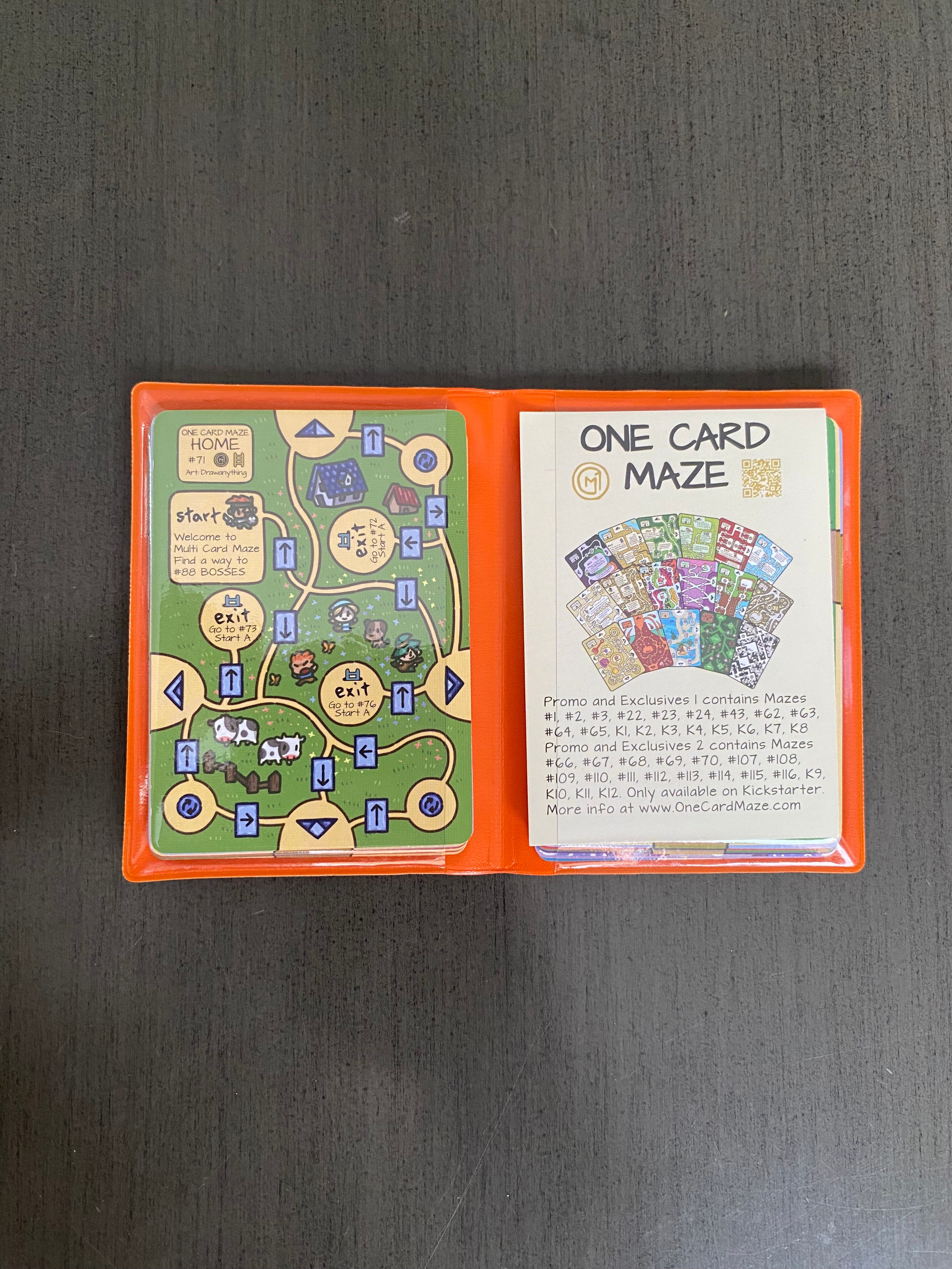 Multi Card Maze Wallet